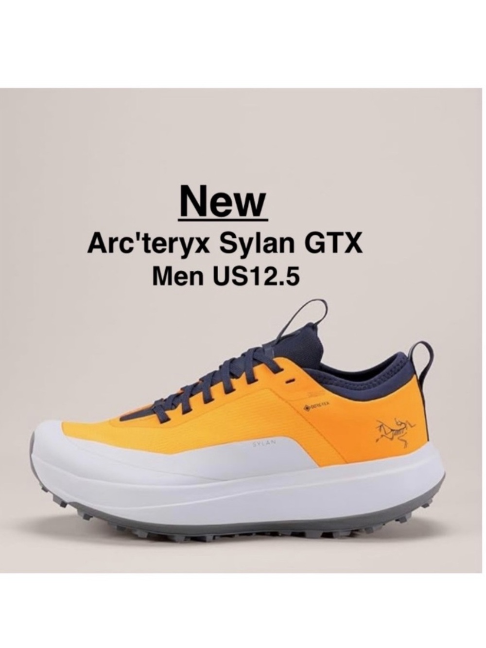 New Arc'teryx Men's Syvan GTX Shoes US 12.5 in Box Edziza /Solitude ⭐️⭐️⭐️⭐️